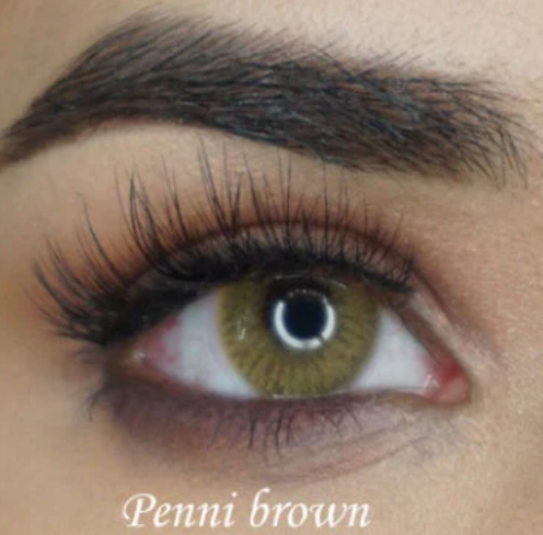 Meetone Penni Brown Yearly Contact Lens