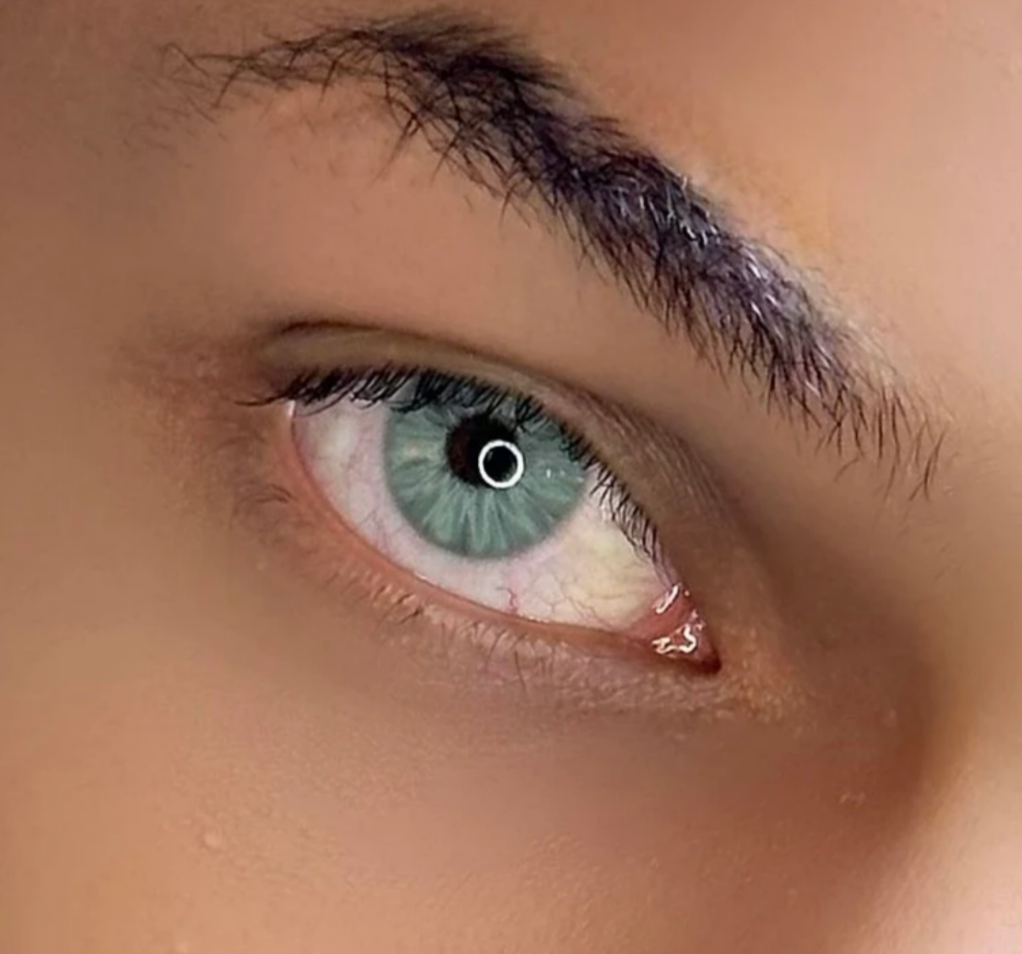 Meetone Brazil Green Yearly