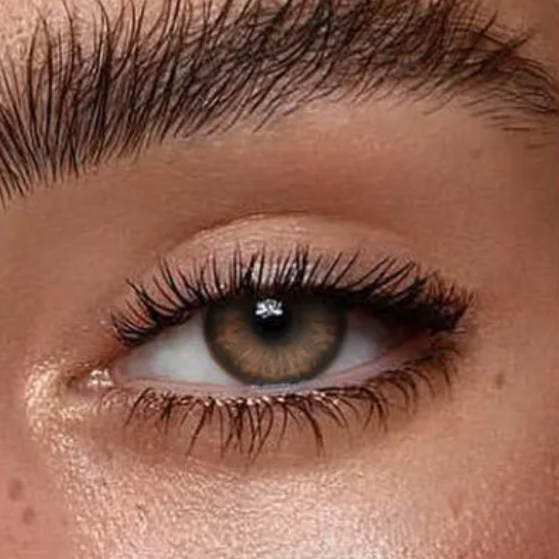 Mesiru Coconut Brown Contact Lens
